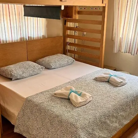 홈스테이 Brazuca *